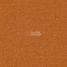 Ковролин Radici Nexus Ambra 2401 фото 1 | FLOORDEALER